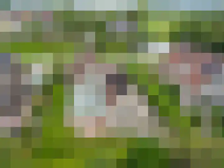 't Herberchsfintsje 14 Tytsjerk thumbnail 56