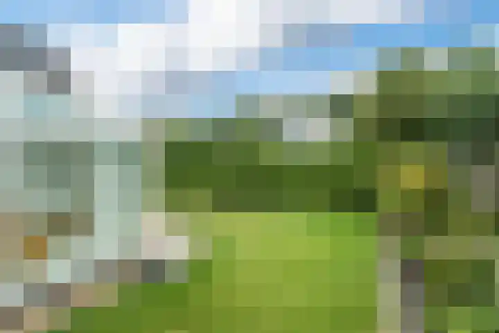 't Herberchsfintsje 14 Tytsjerk thumbnail 57