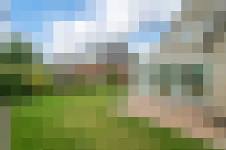 't Herberchsfintsje 14 Tytsjerk thumbnail 59