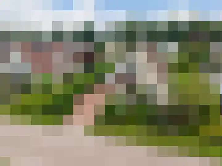 't Herberchsfintsje 14 Tytsjerk thumbnail 6
