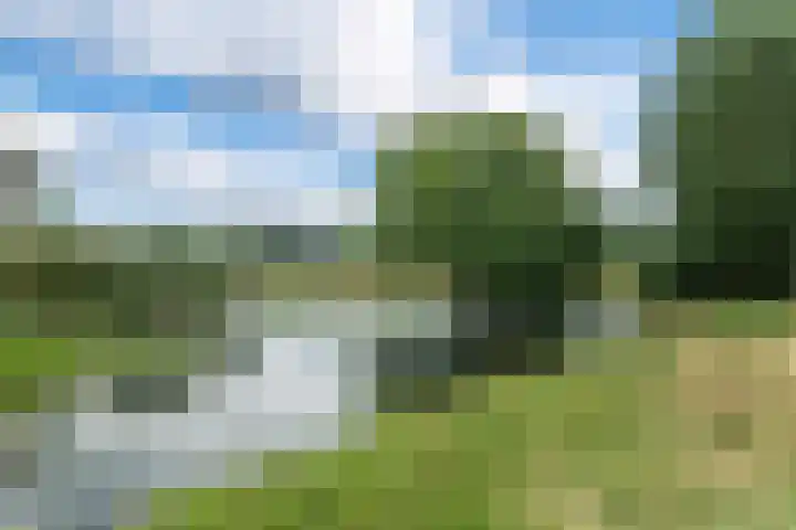 't Herberchsfintsje 14 Tytsjerk thumbnail 61