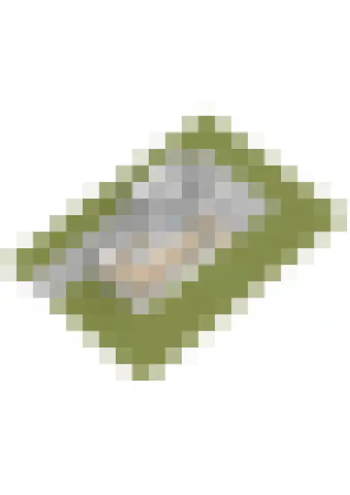 't Herberchsfintsje 14 Tytsjerk thumbnail 69