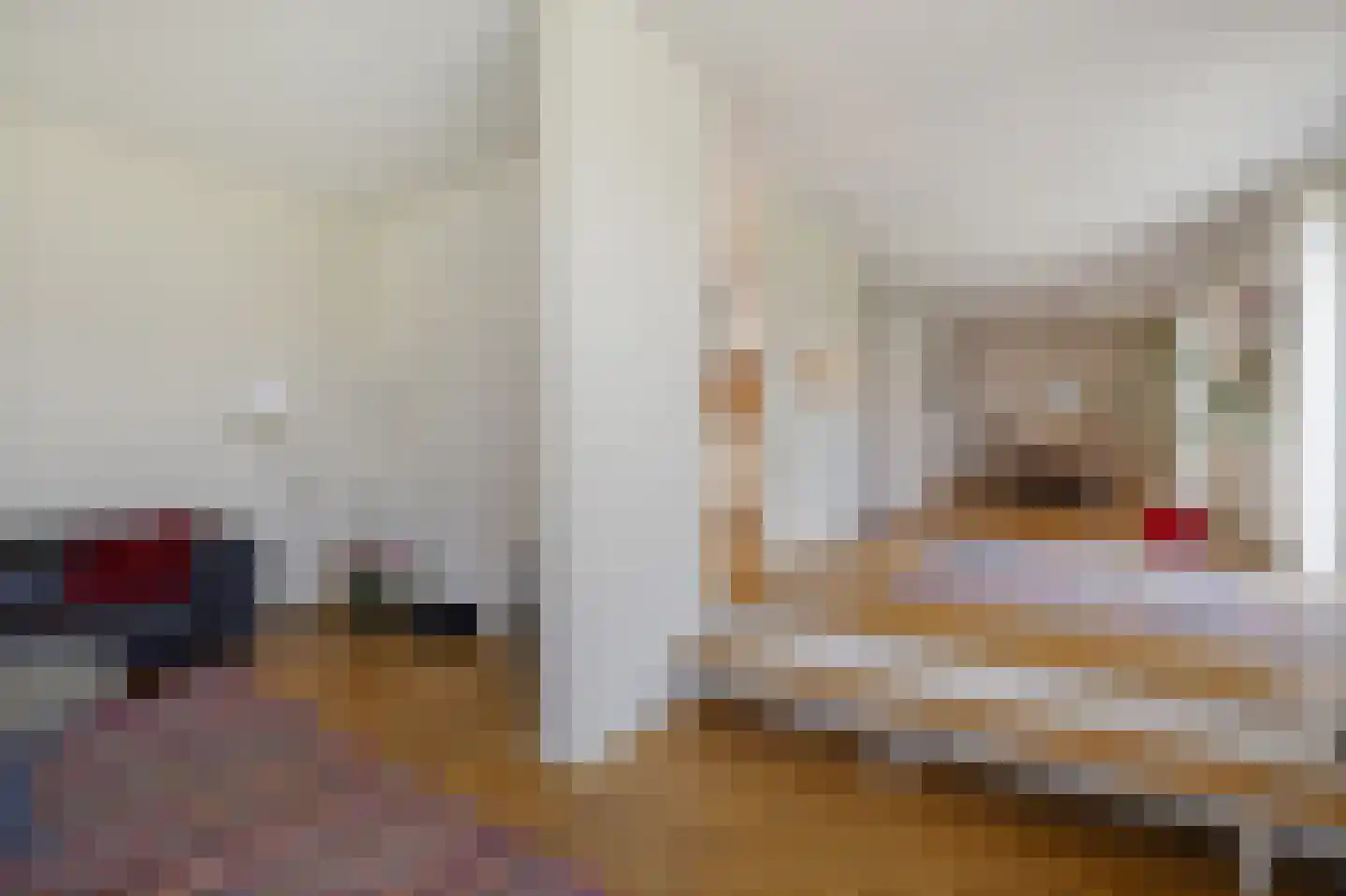 't Herntsje 22 Boornbergum thumbnail 12