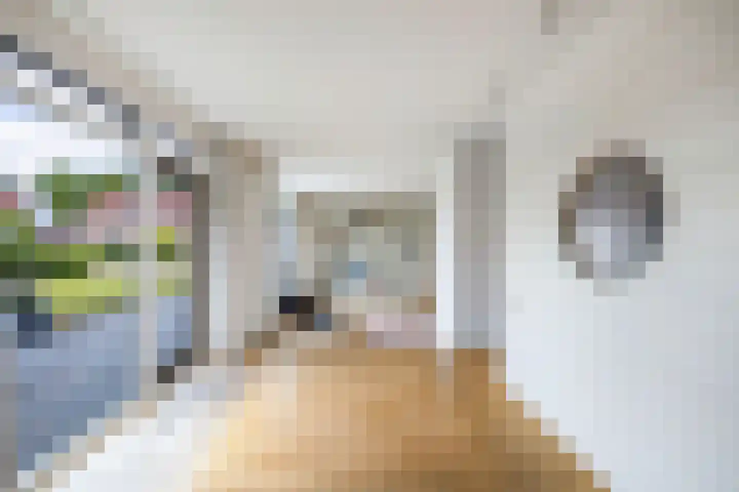 't Herntsje 22 Boornbergum thumbnail 13