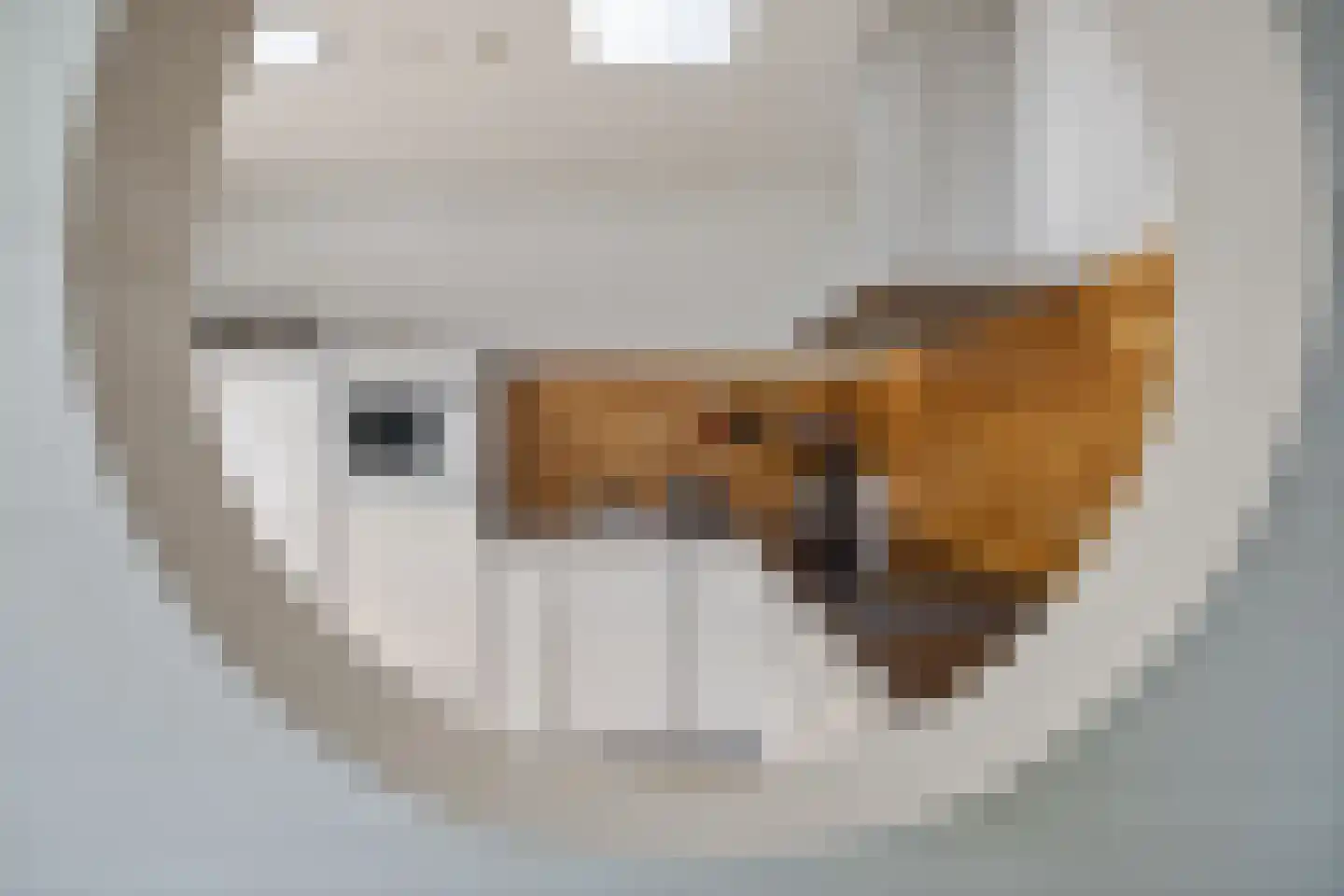 't Herntsje 22 Boornbergum thumbnail 13