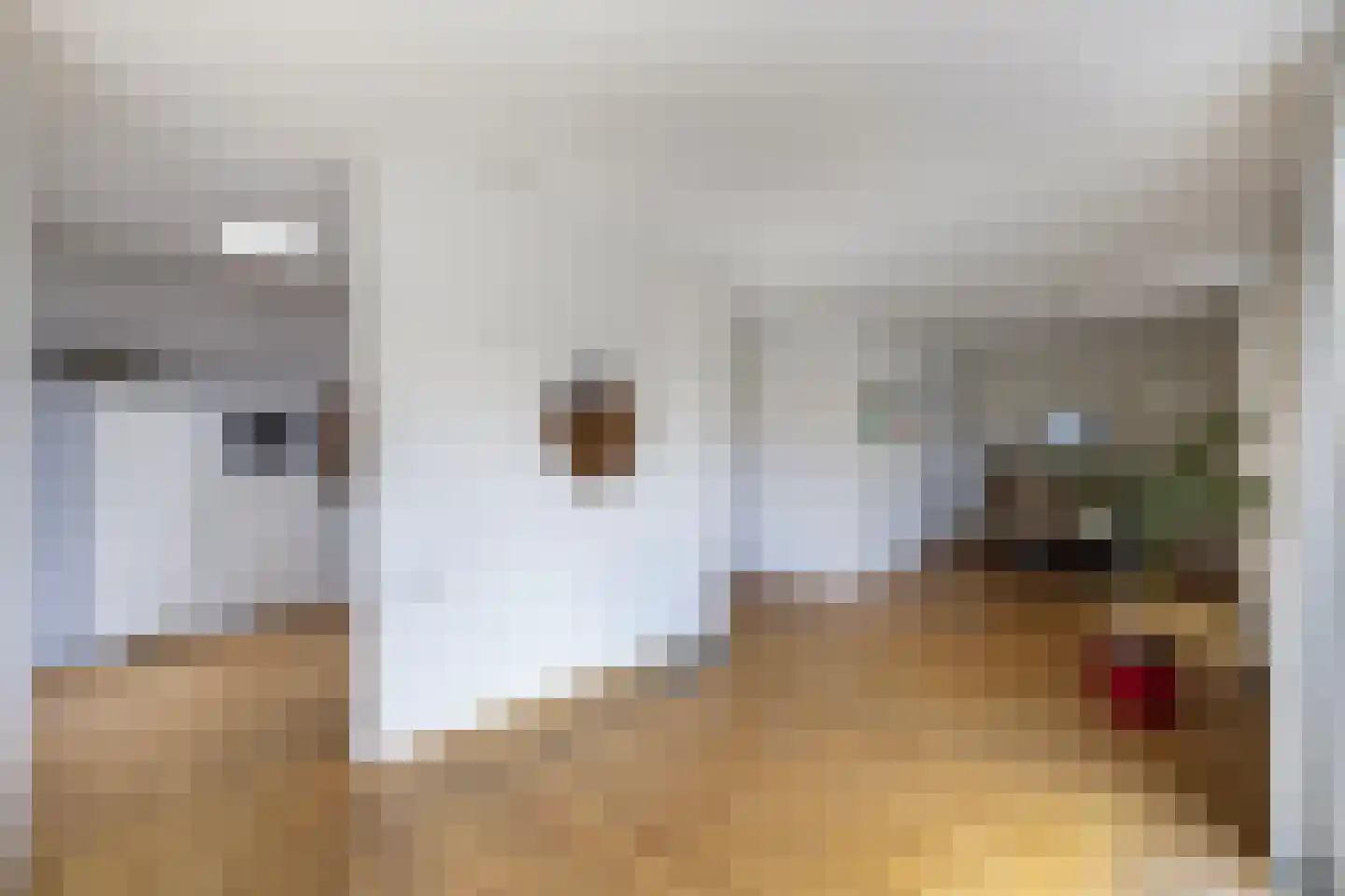 't Herntsje 22 Boornbergum thumbnail 14
