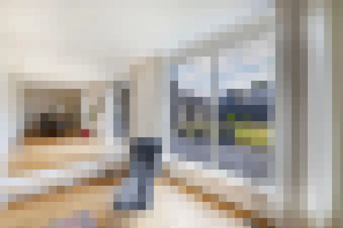 't Herntsje 22 Boornbergum thumbnail 19