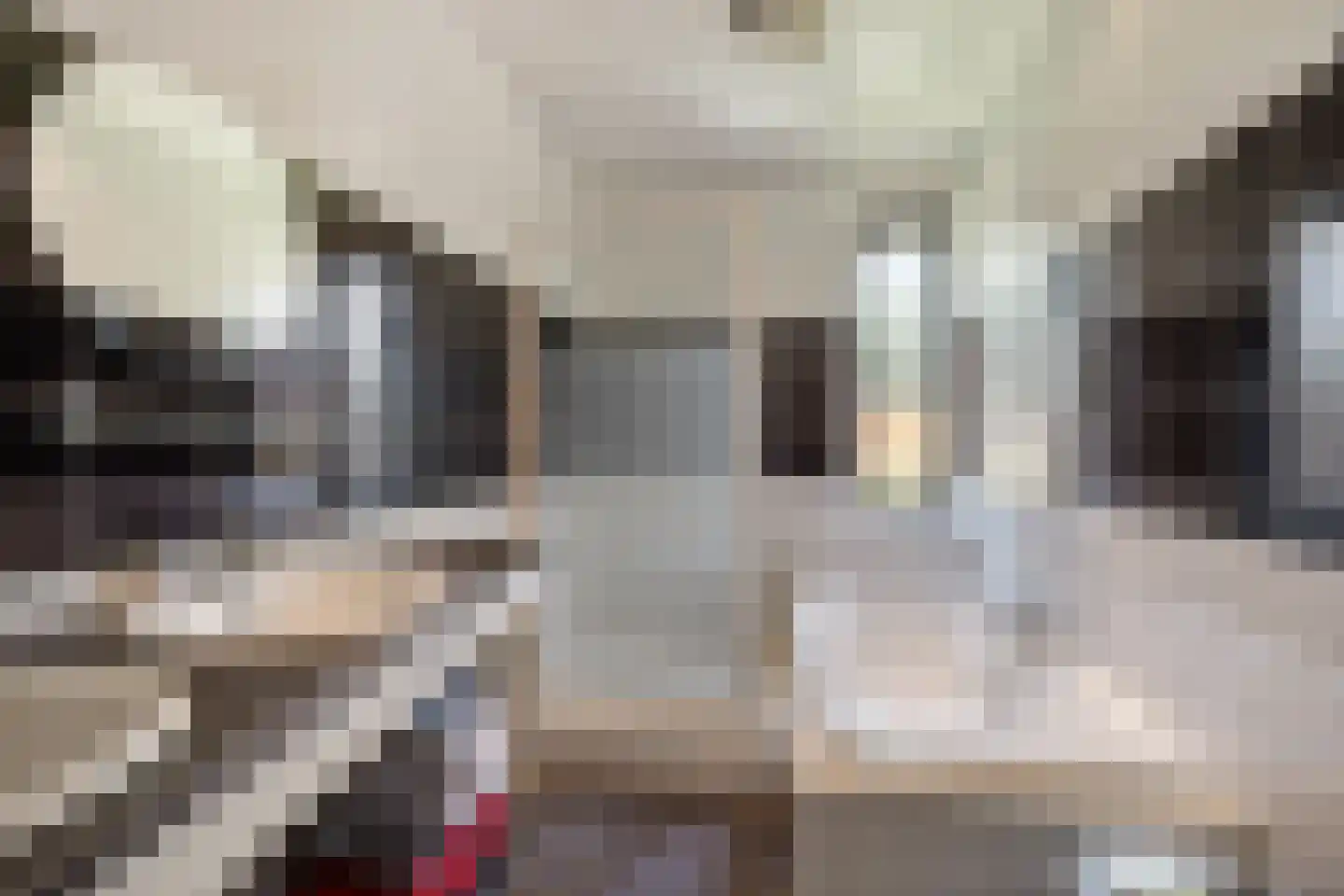't Herntsje 22 Boornbergum thumbnail 20
