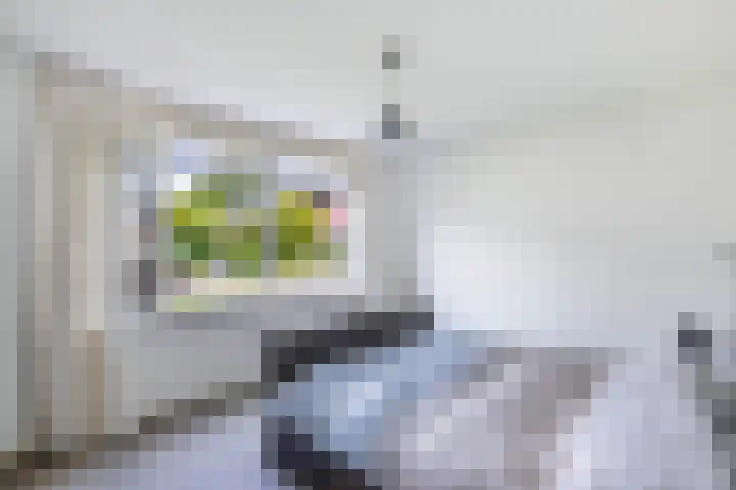 't Herntsje 22 Boornbergum thumbnail 24