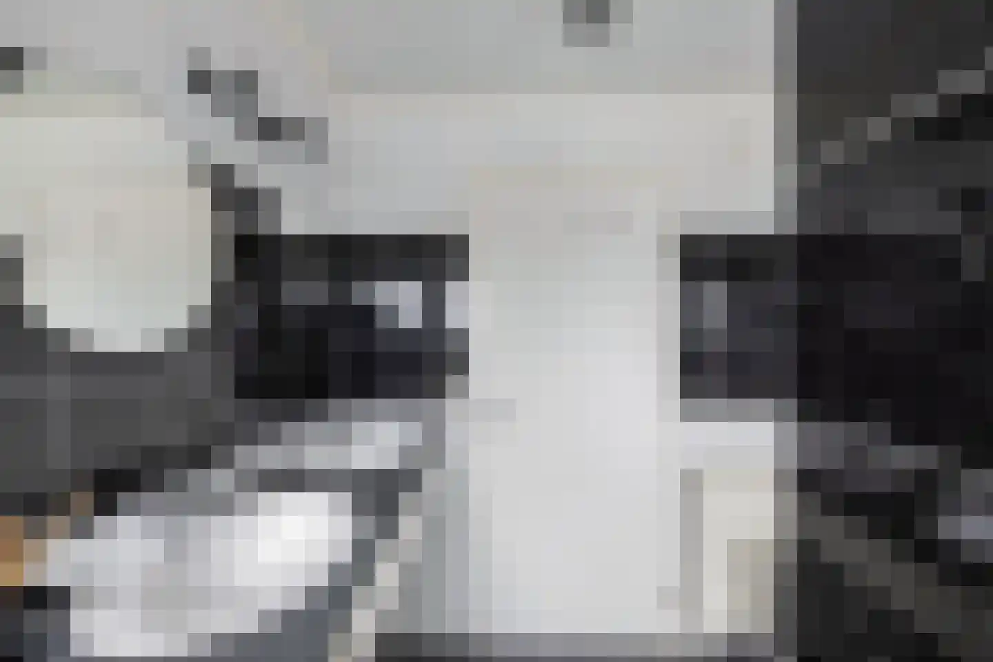 't Herntsje 22 Boornbergum thumbnail 25