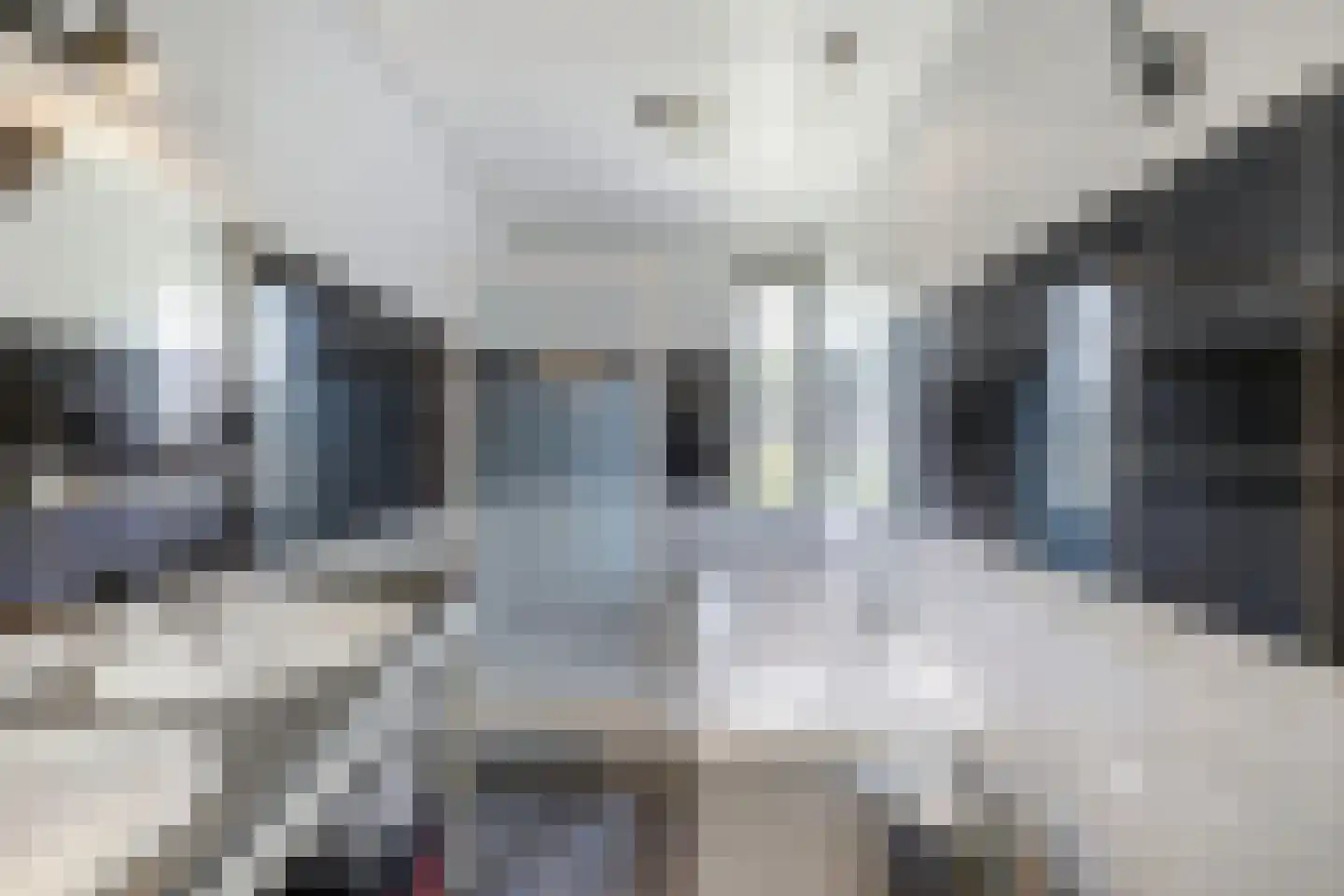 't Herntsje 22 Boornbergum thumbnail 26