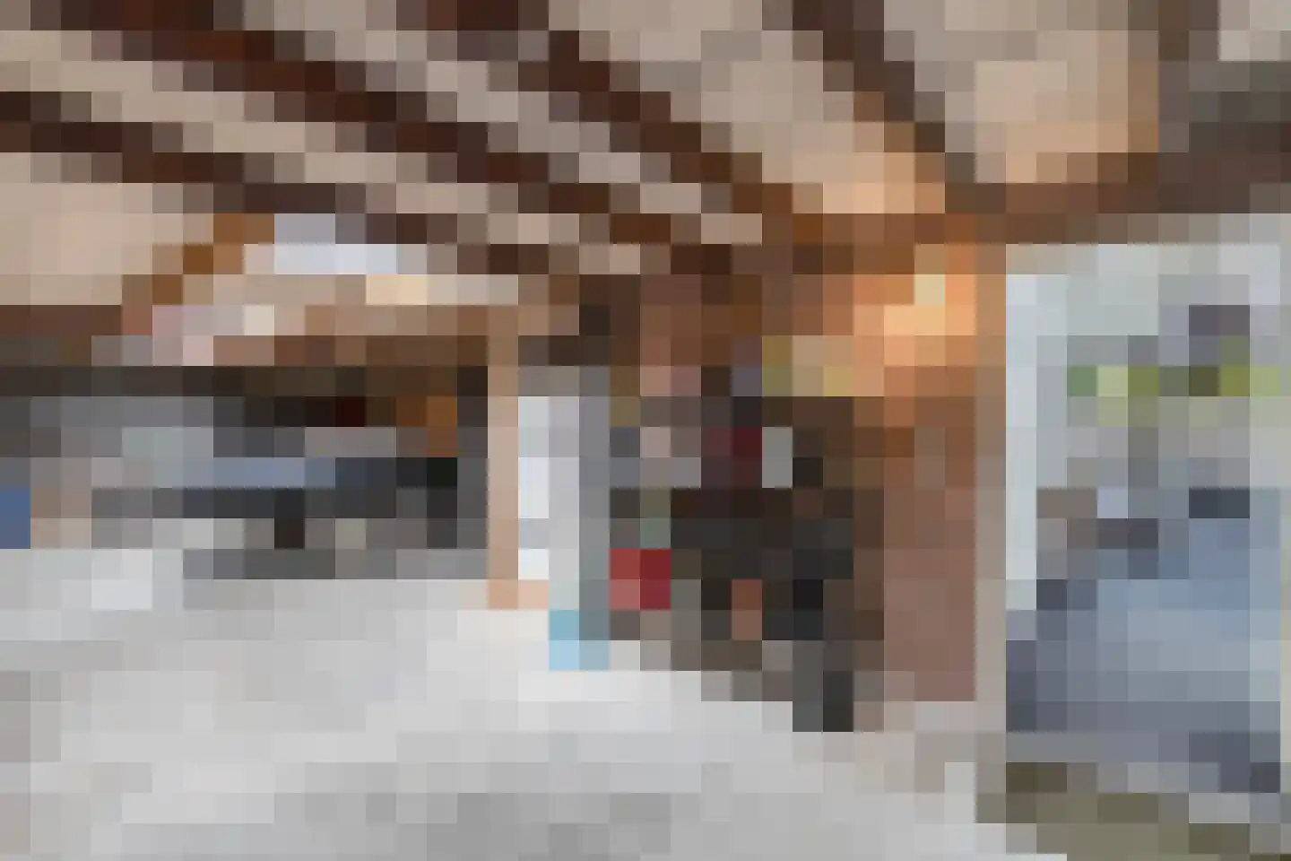 't Herntsje 22 Boornbergum thumbnail 30