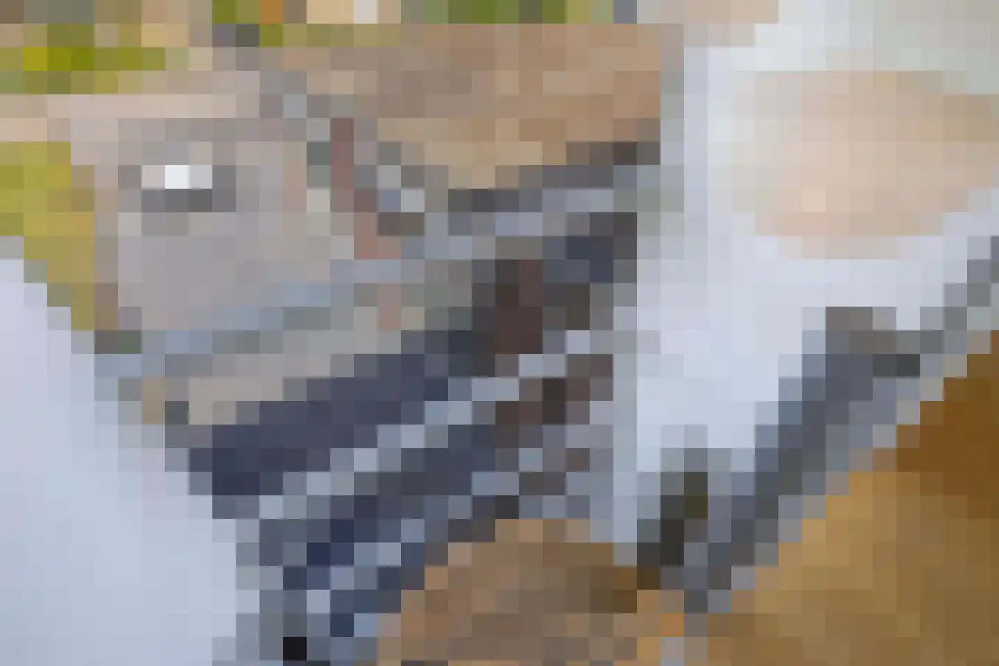 't Herntsje 22 Boornbergum thumbnail 34