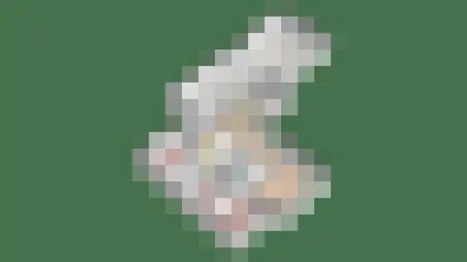't Herntsje 22 Boornbergum thumbnail 38