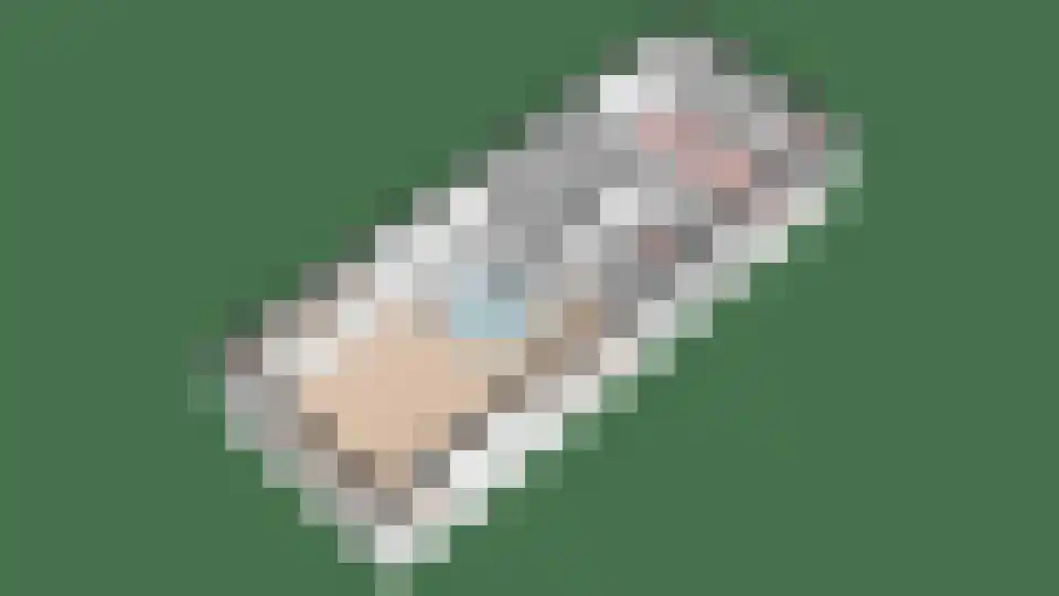 't Herntsje 22 Boornbergum thumbnail 40