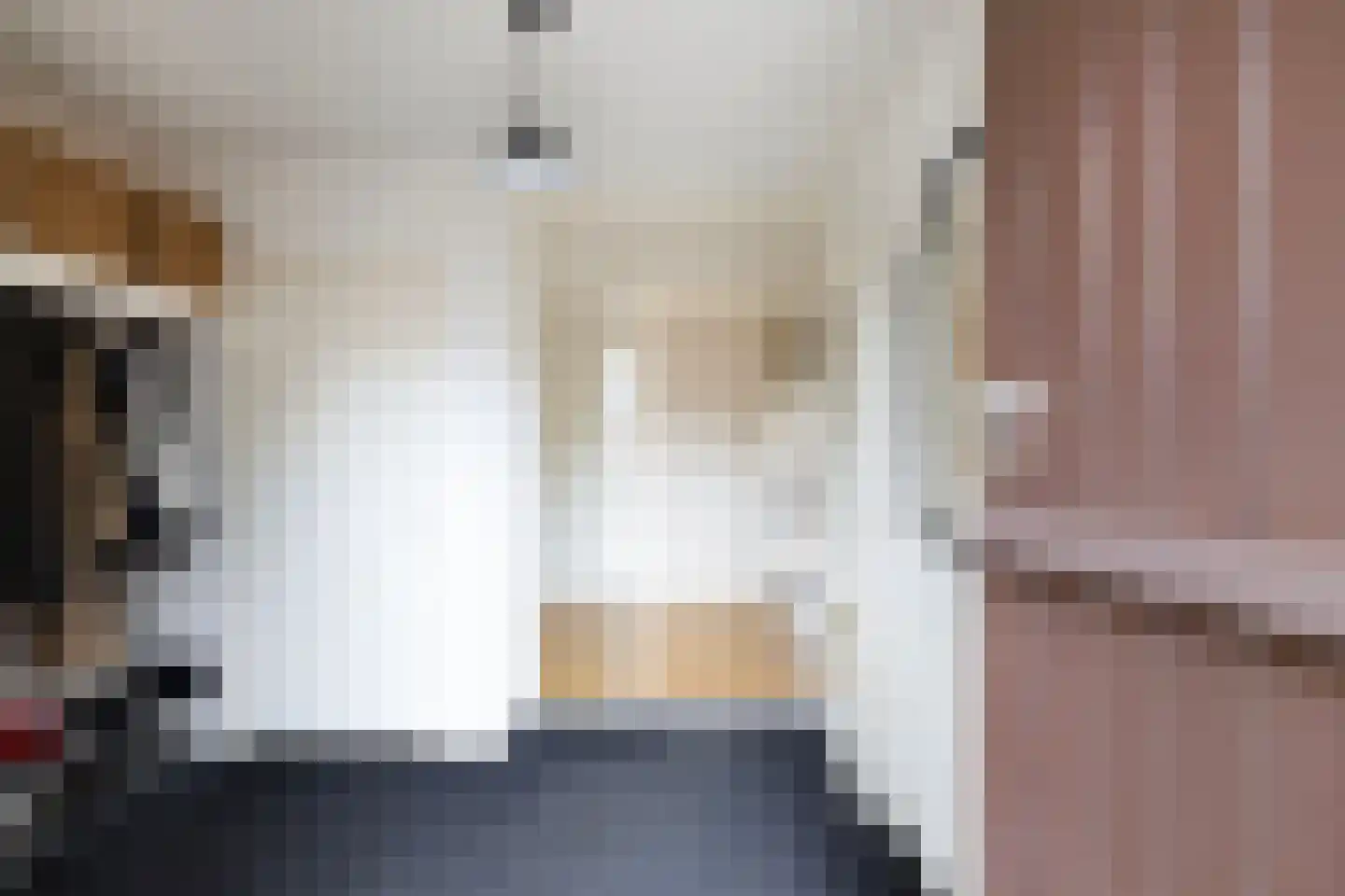 't Herntsje 22 Boornbergum thumbnail 5