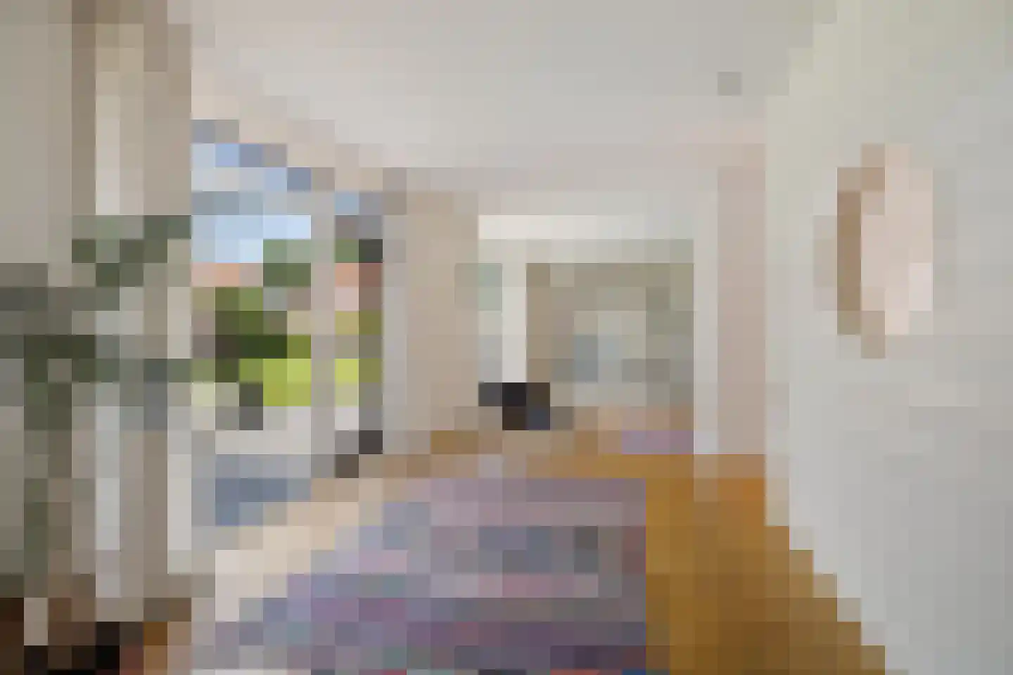 't Herntsje 22 Boornbergum thumbnail 7