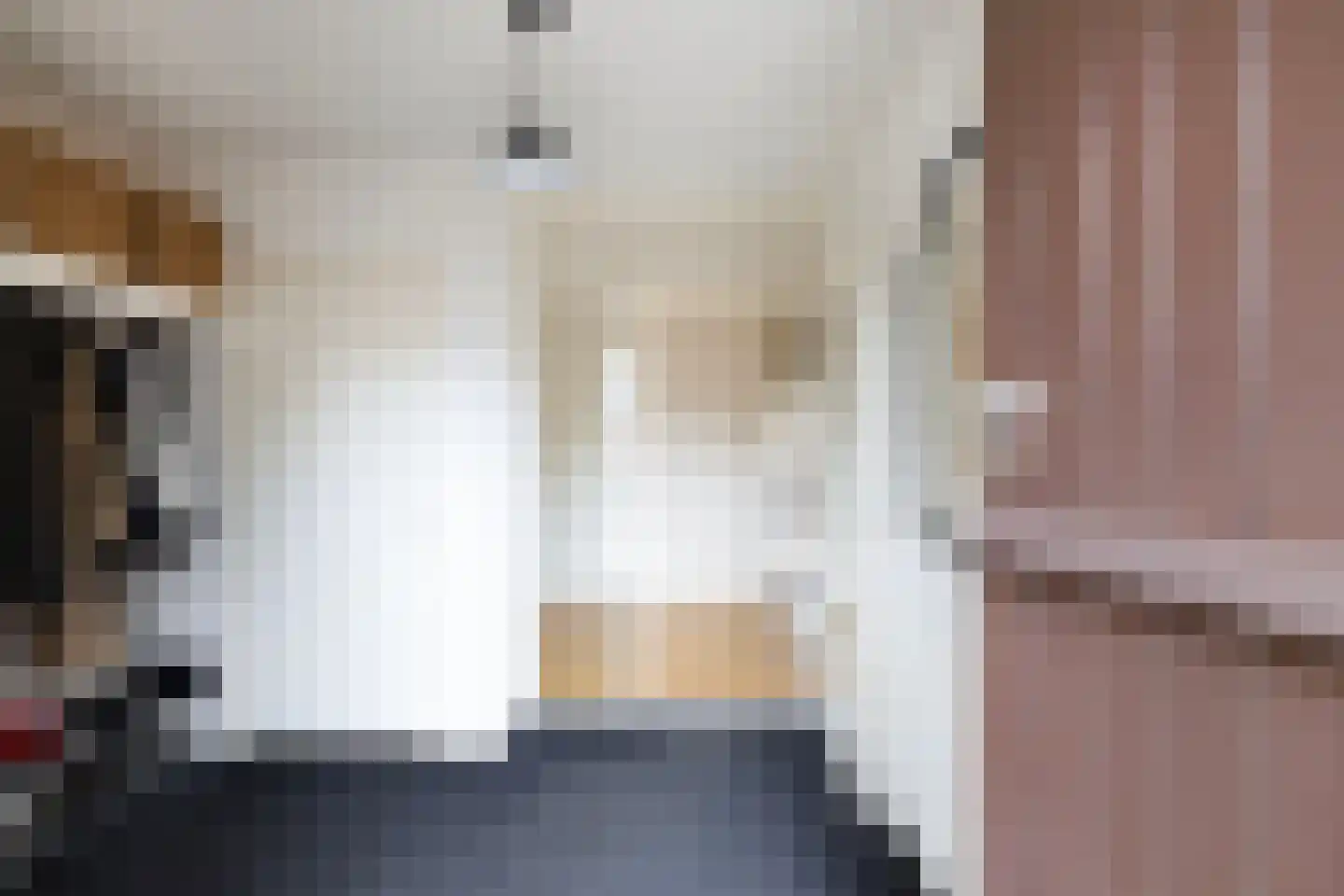 't Herntsje 22 Boornbergum thumbnail 8