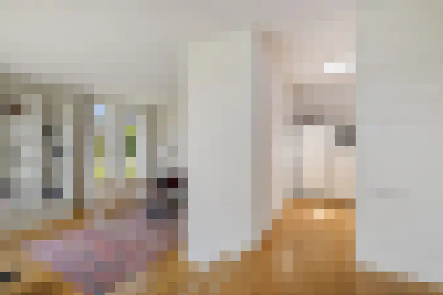't Herntsje 22 Boornbergum thumbnail 8