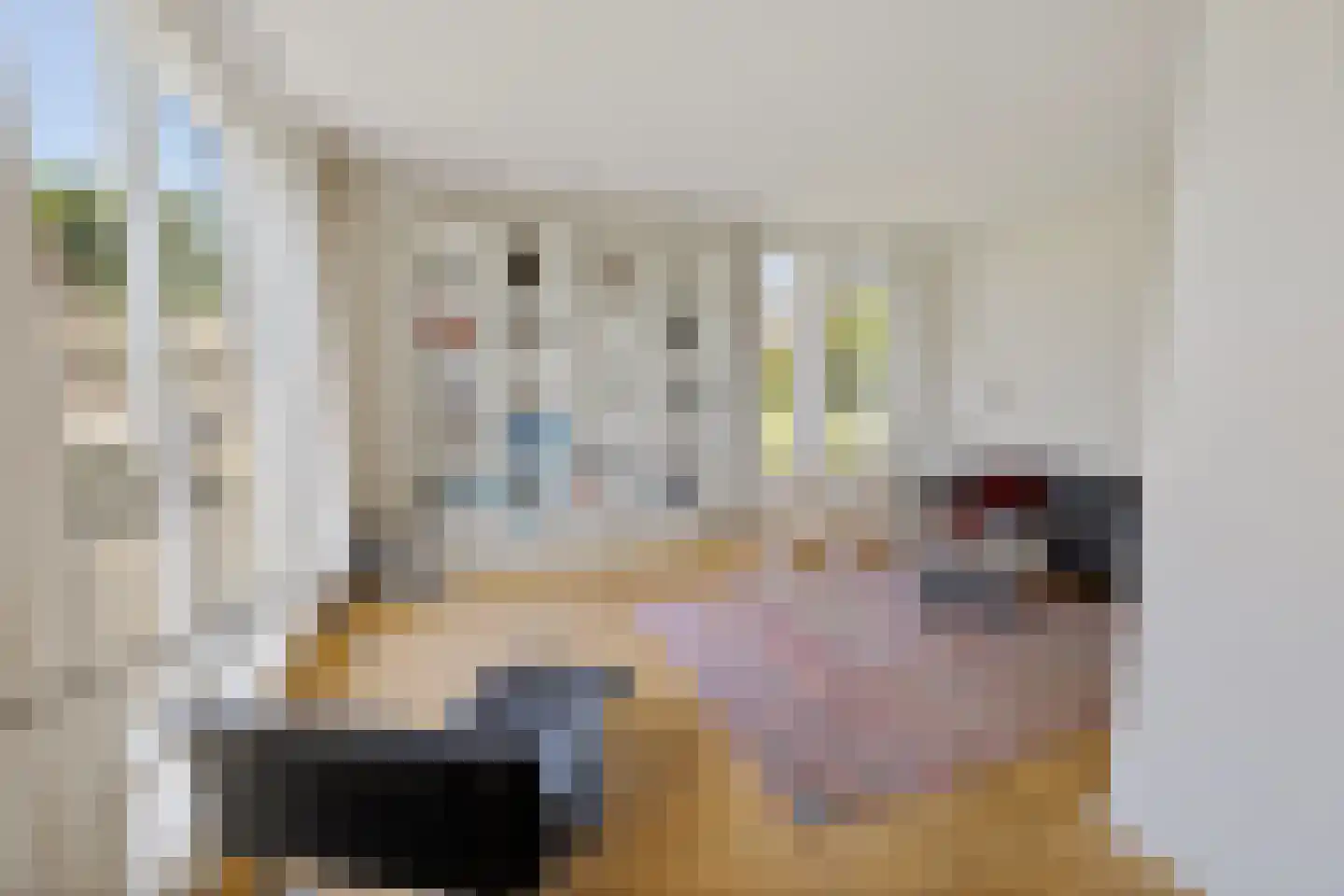 't Herntsje 22 Boornbergum thumbnail 9
