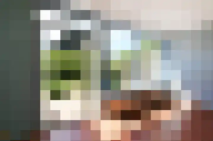 't Hert 100 Leidschendam thumbnail 11