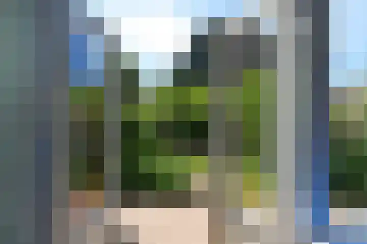 't Hert 100 Leidschendam thumbnail 12