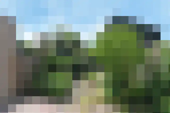 't Hert 100 Leidschendam thumbnail 13