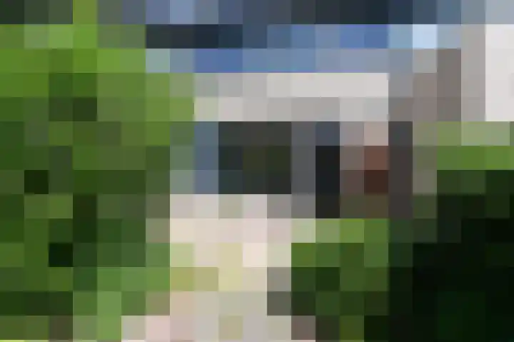't Hert 100 Leidschendam thumbnail 15