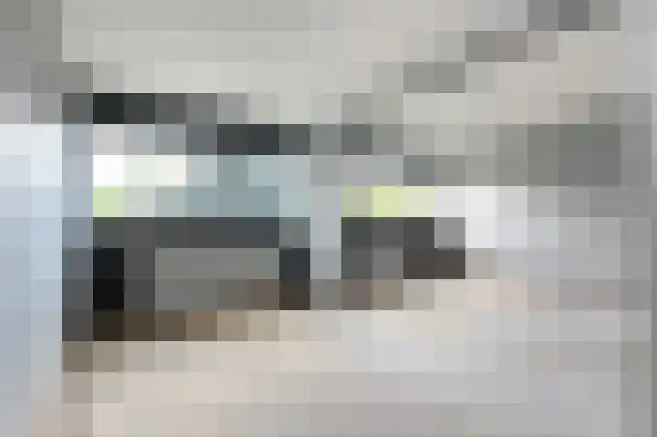 't Hert 100 Leidschendam thumbnail 20