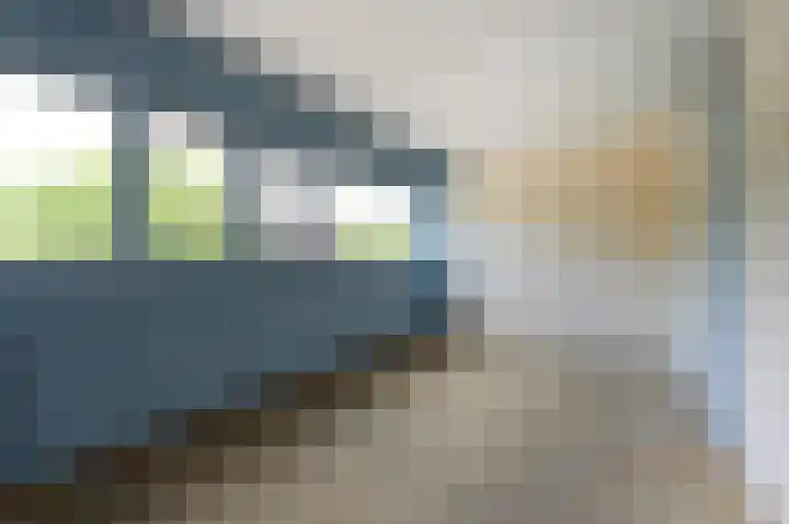 't Hert 100 Leidschendam thumbnail 23