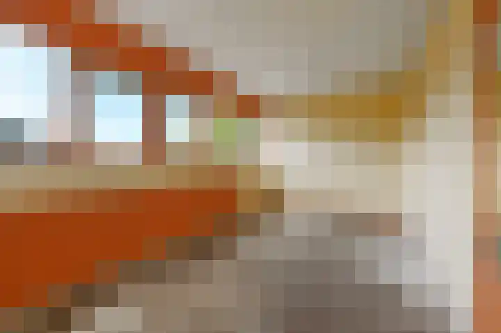 't Hert 100 Leidschendam thumbnail 27
