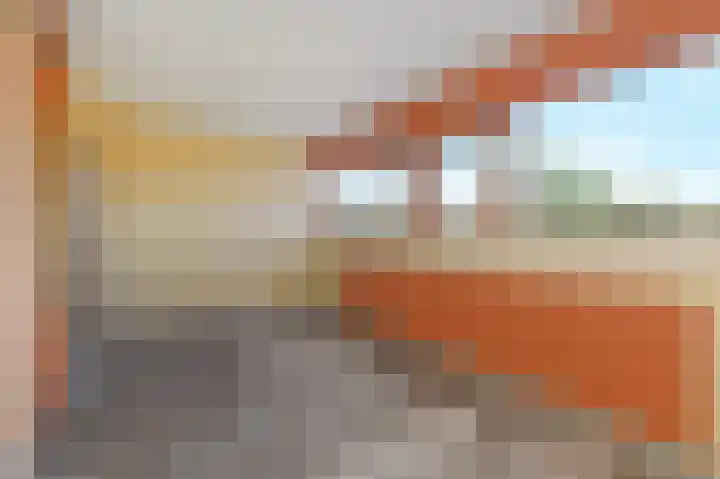 't Hert 100 Leidschendam thumbnail 28