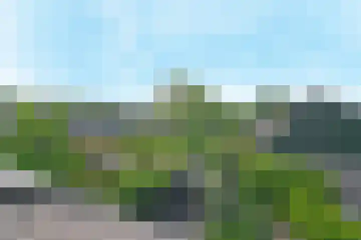 't Hert 100 Leidschendam thumbnail 29