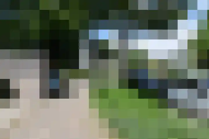 't Hert 100 Leidschendam thumbnail 33