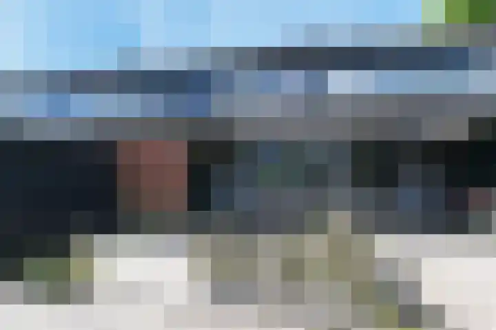 't Hert 100 Leidschendam thumbnail 6