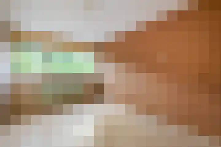 't Hert 115 Leidschendam thumbnail 11