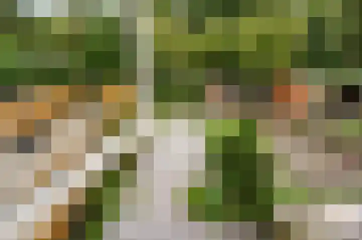 't Hert 115 Leidschendam thumbnail 12