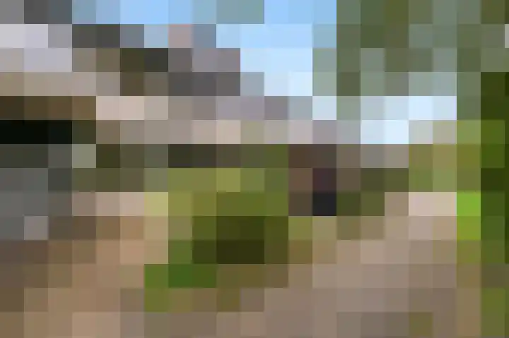 't Hert 115 Leidschendam thumbnail 21