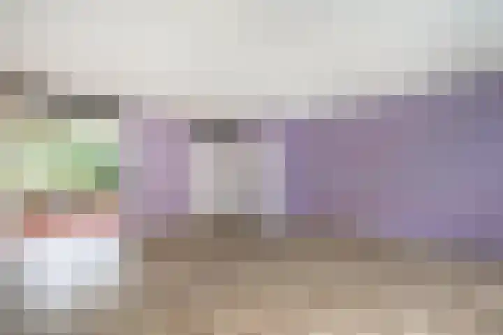 't Hert 115 Leidschendam thumbnail 4