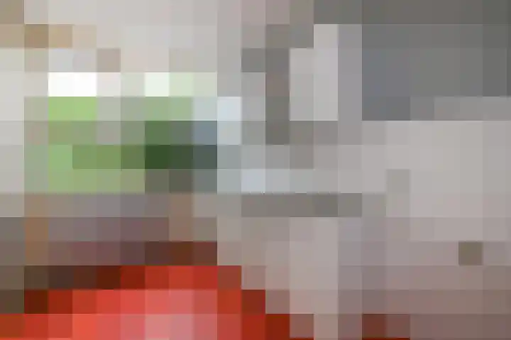 't Hert 115 Leidschendam thumbnail 5
