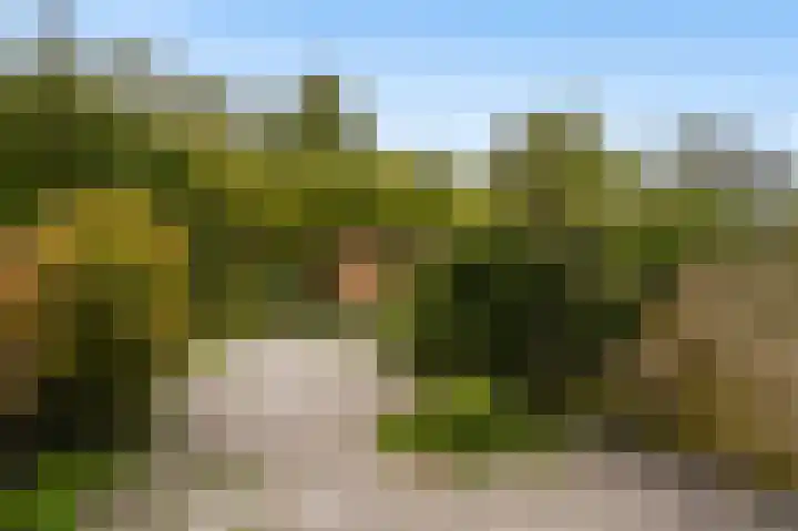 't Hert 115 Leidschendam thumbnail 7