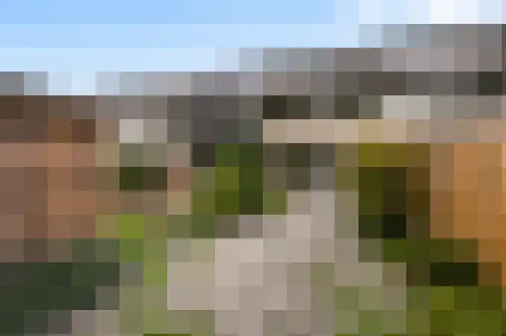 't Hert 115 Leidschendam thumbnail 8