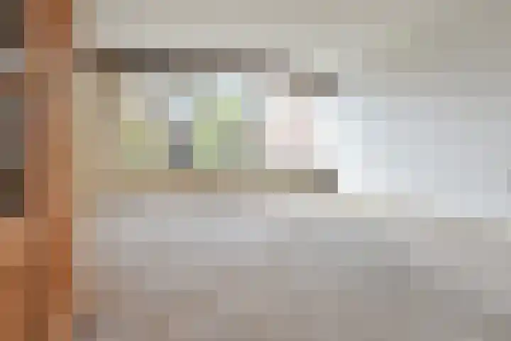 't Hert 116 Leidschendam thumbnail 10
