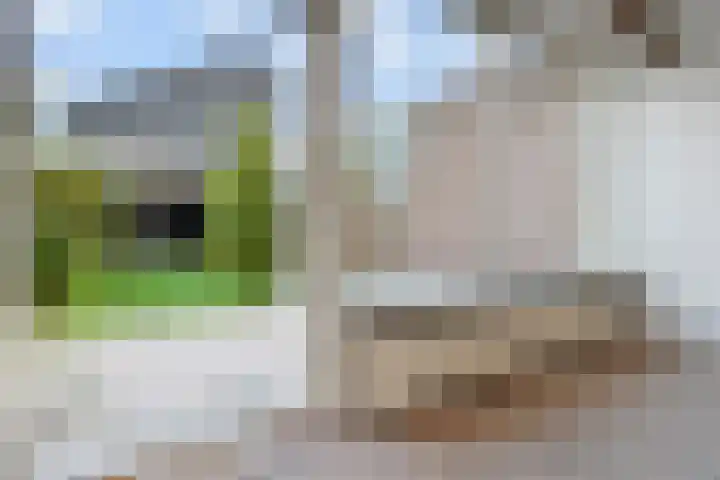 't Hert 116 Leidschendam thumbnail 11