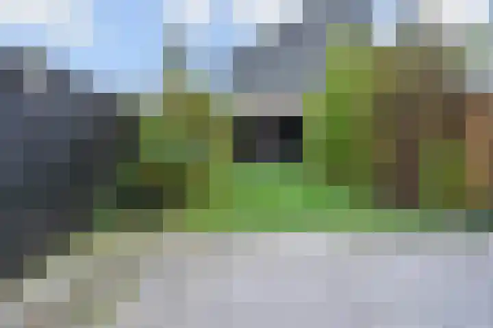 't Hert 116 Leidschendam thumbnail 12
