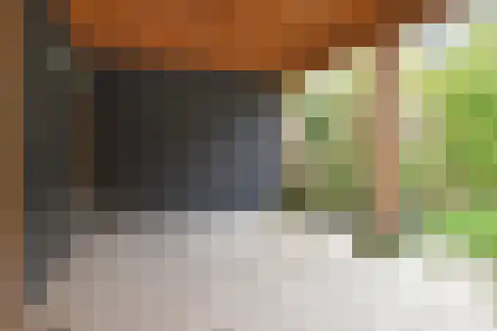 't Hert 116 Leidschendam thumbnail 14