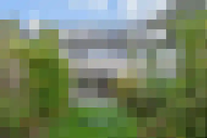 't Hert 116 Leidschendam thumbnail 15