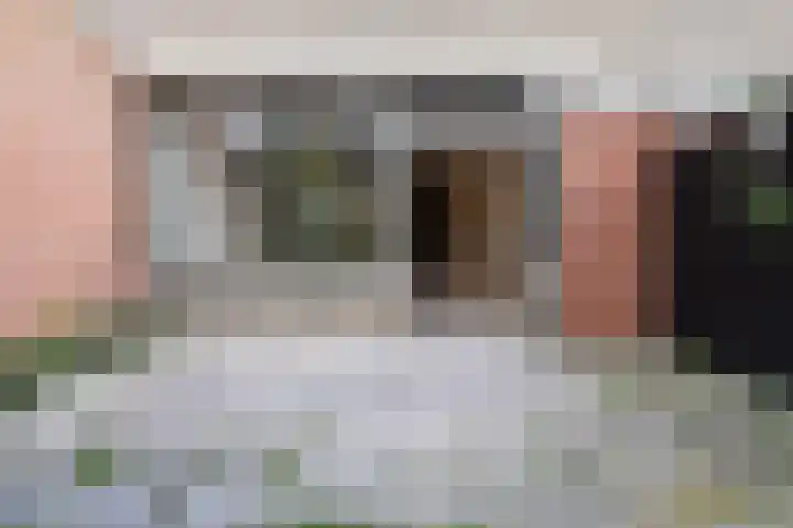 't Hert 116 Leidschendam thumbnail 16