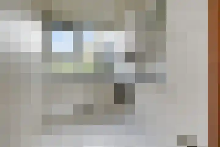 't Hert 116 Leidschendam thumbnail 20