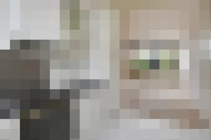 't Hert 116 Leidschendam thumbnail 21